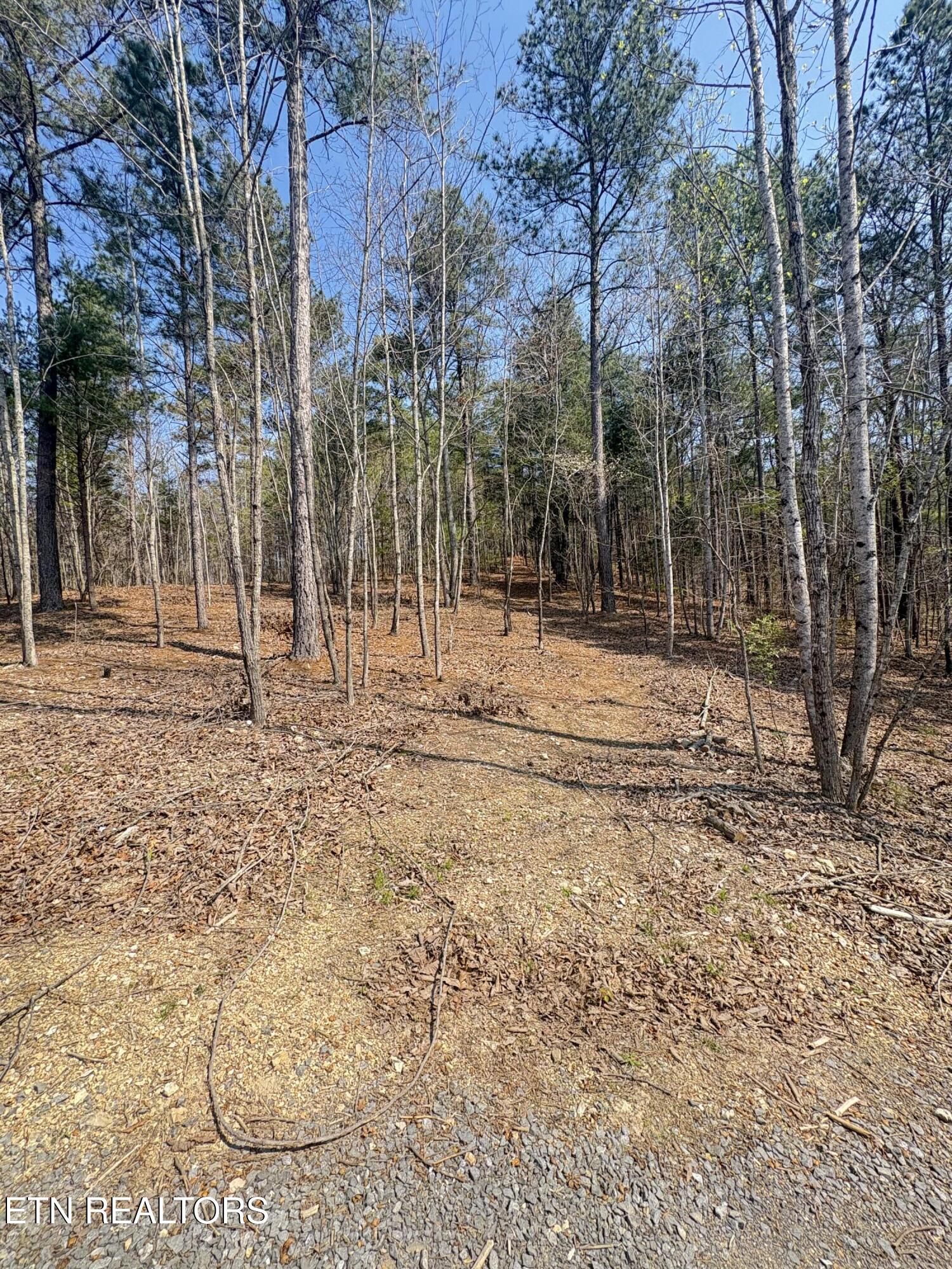 400 Moore Cemetery Rd