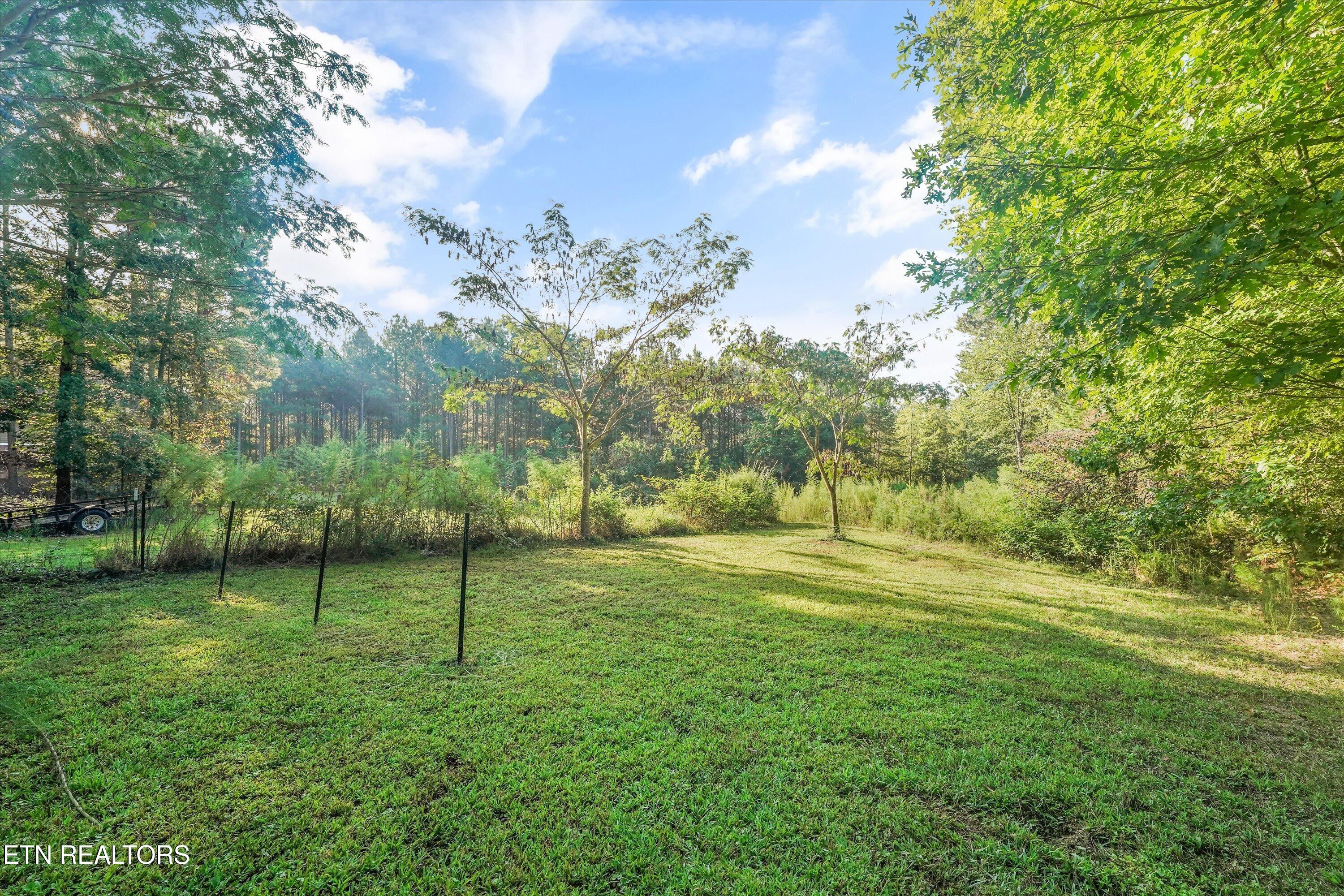 Grassy clearing bordered by woodland, with young trees and fence posts.