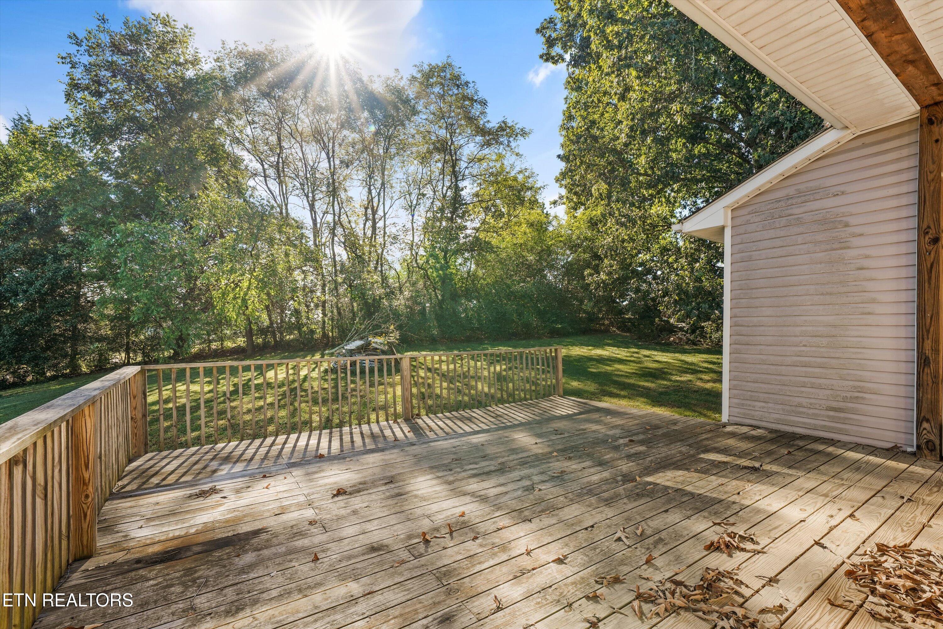 Wooden deck overlooking a tree-lined backyard, with sunlight filtering through the trees.