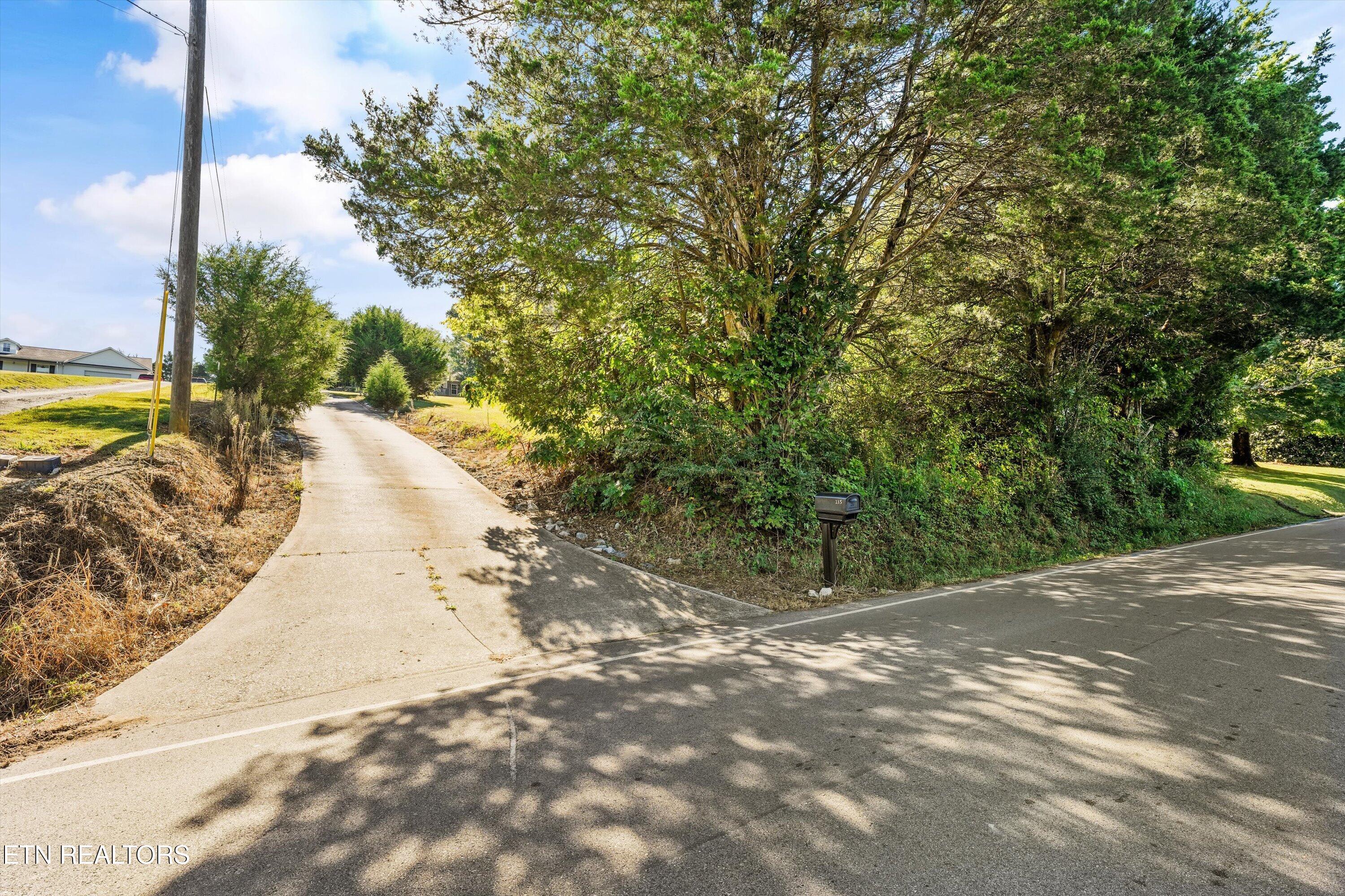 Concrete driveway beside a tree-lined road, with a mailbox marked 135.