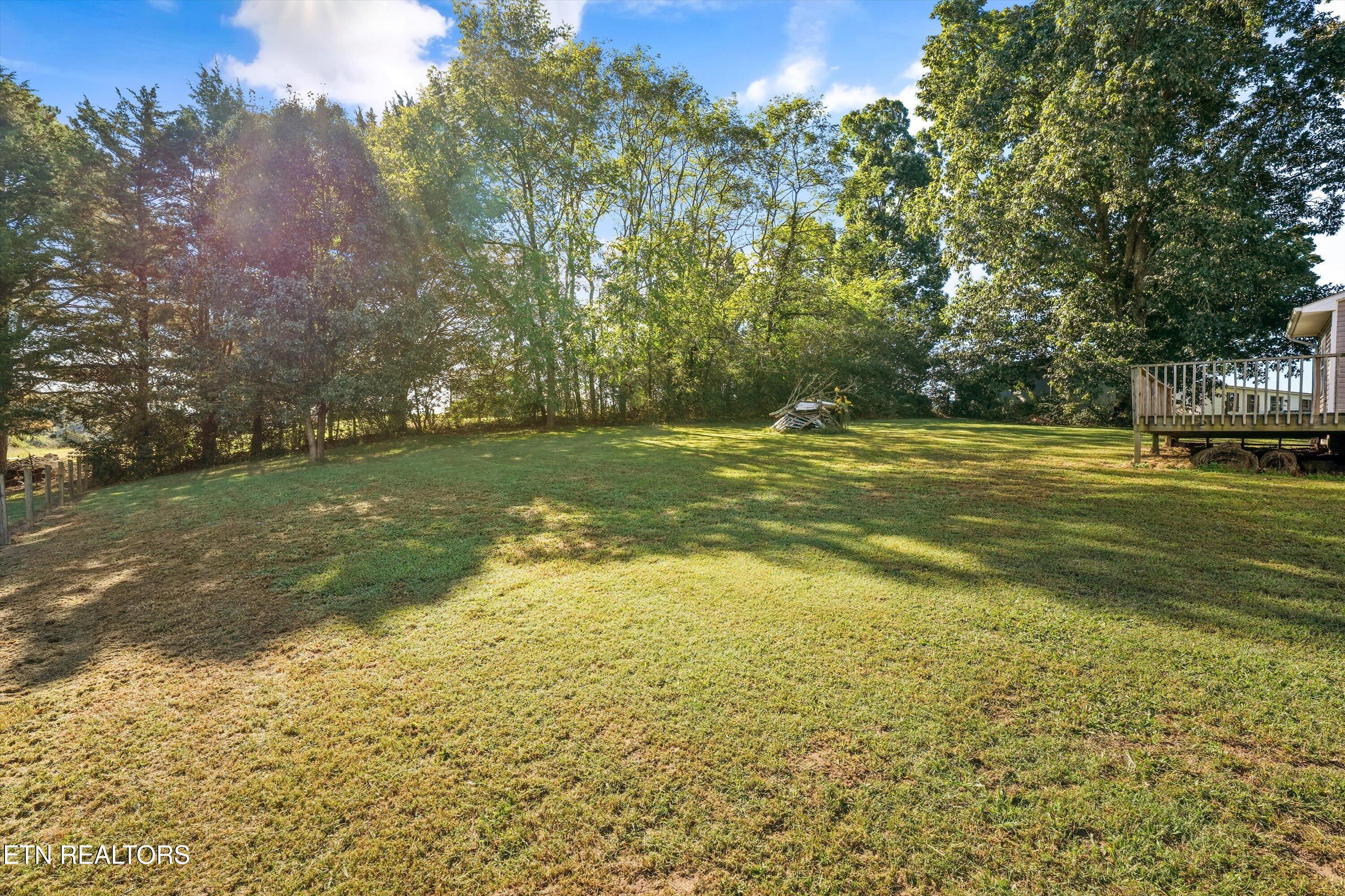 Grassy backyard bordered by mature trees, with a raised deck at the right.