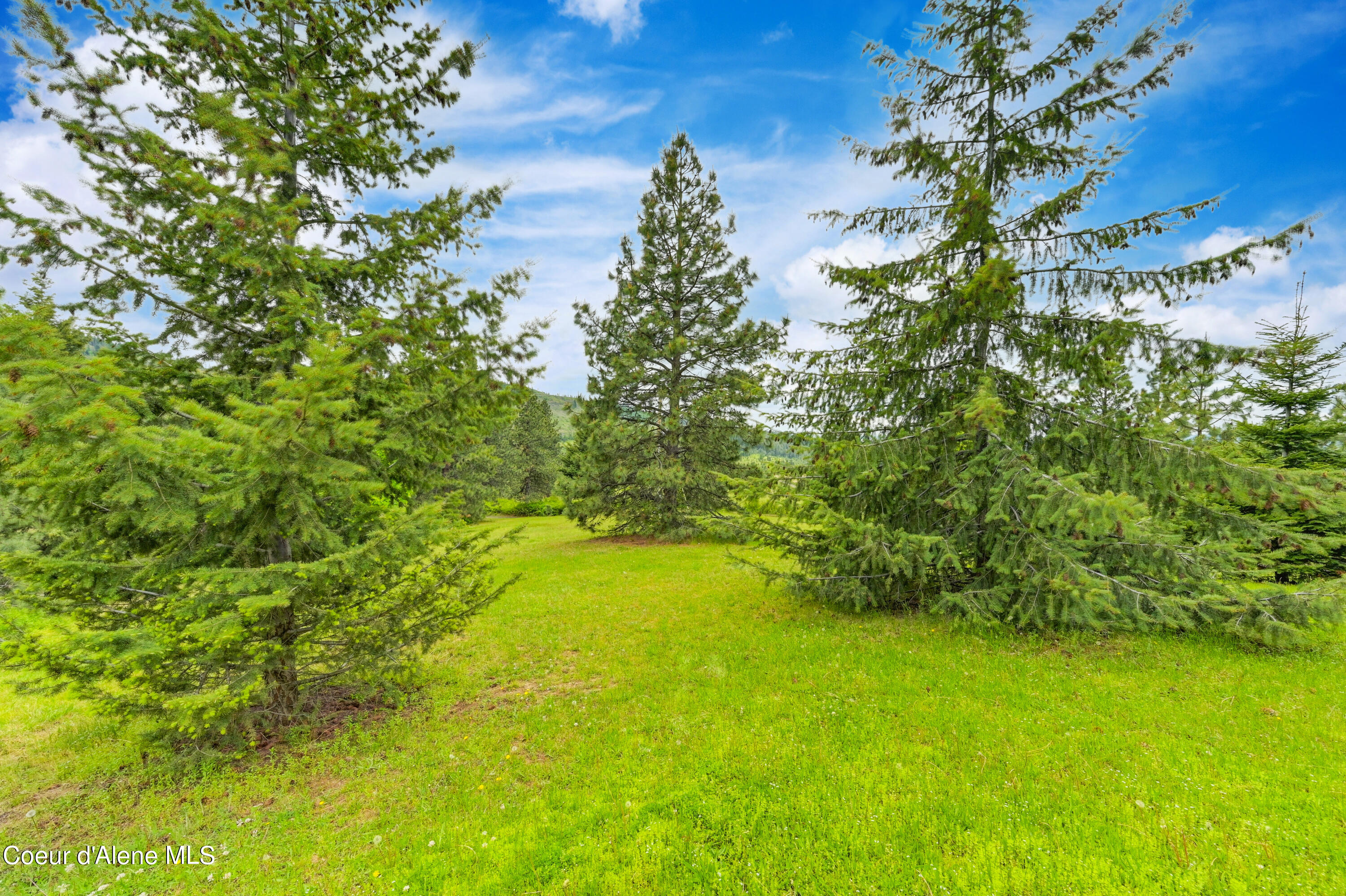 3132 Windfall Pass Rd