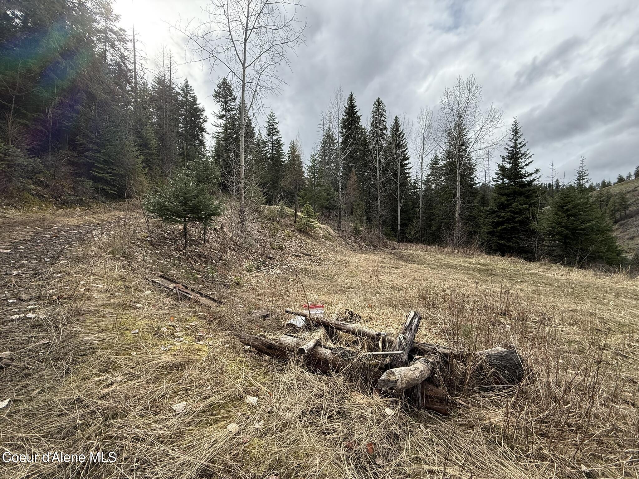 176 Blake Creek Rd, St. Maries