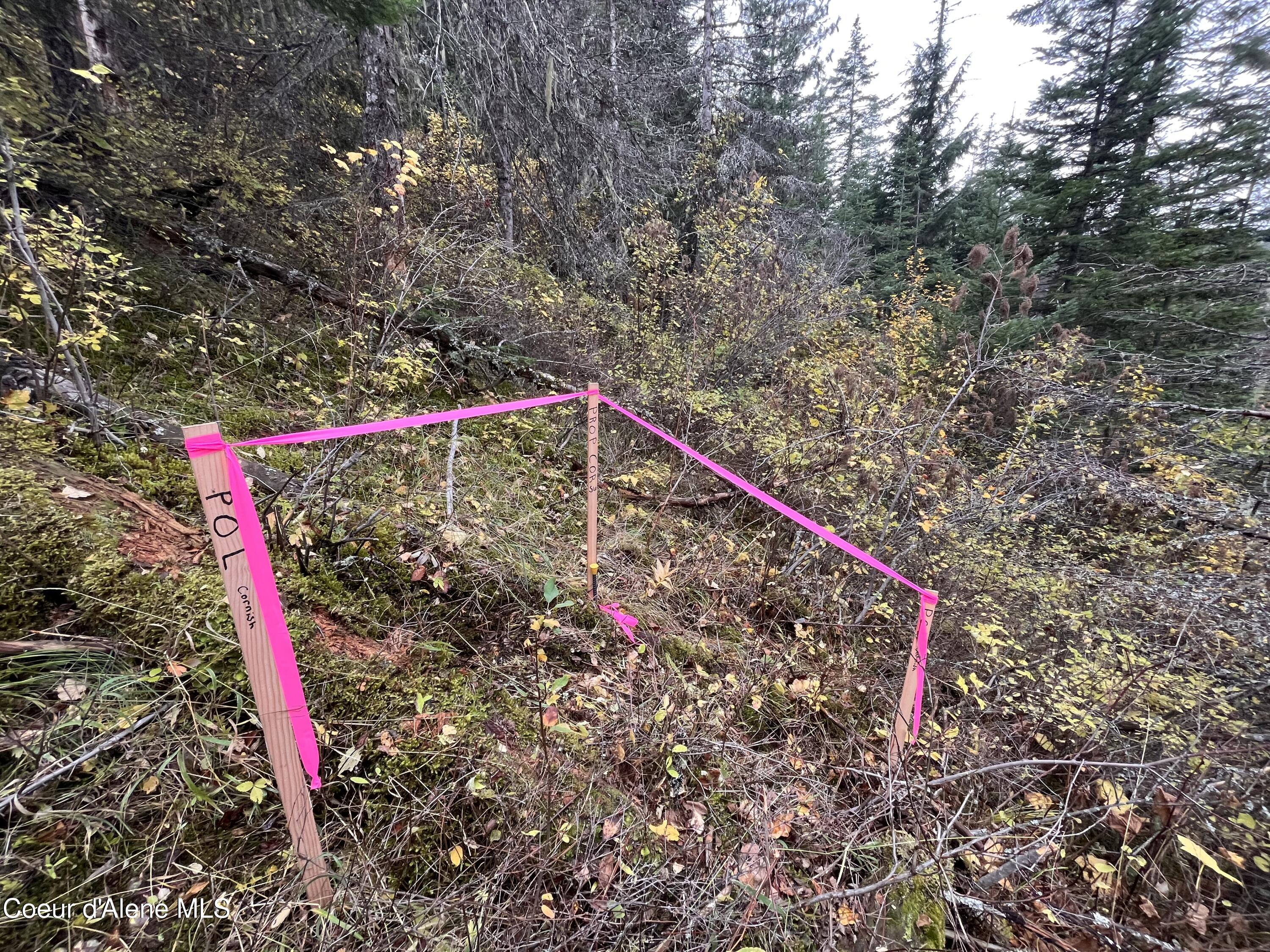 176 Blake Creek Rd, St. Maries