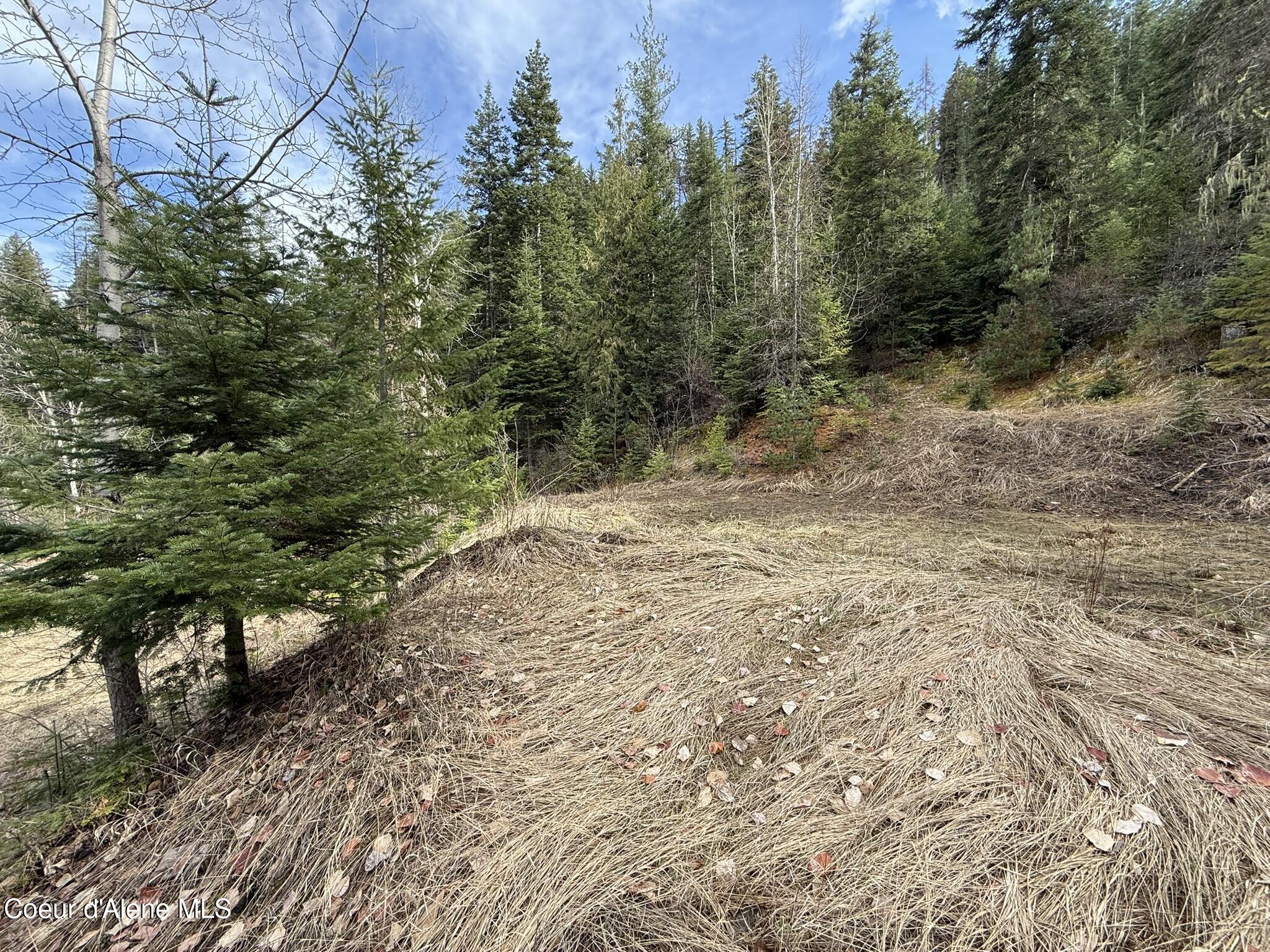 176 Blake Creek Rd, St. Maries