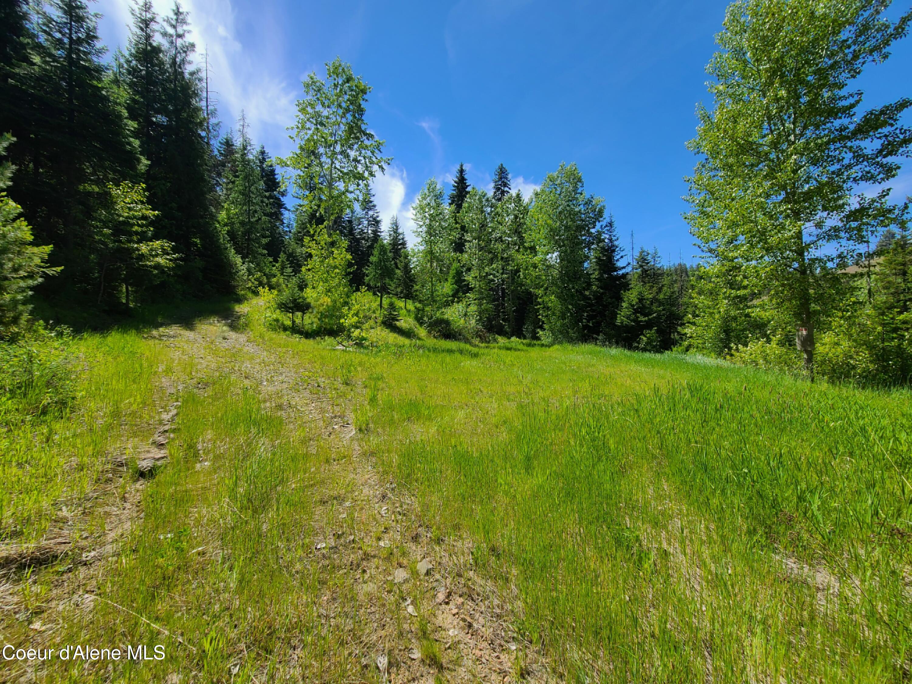176 Blake Creek Rd, St. Maries