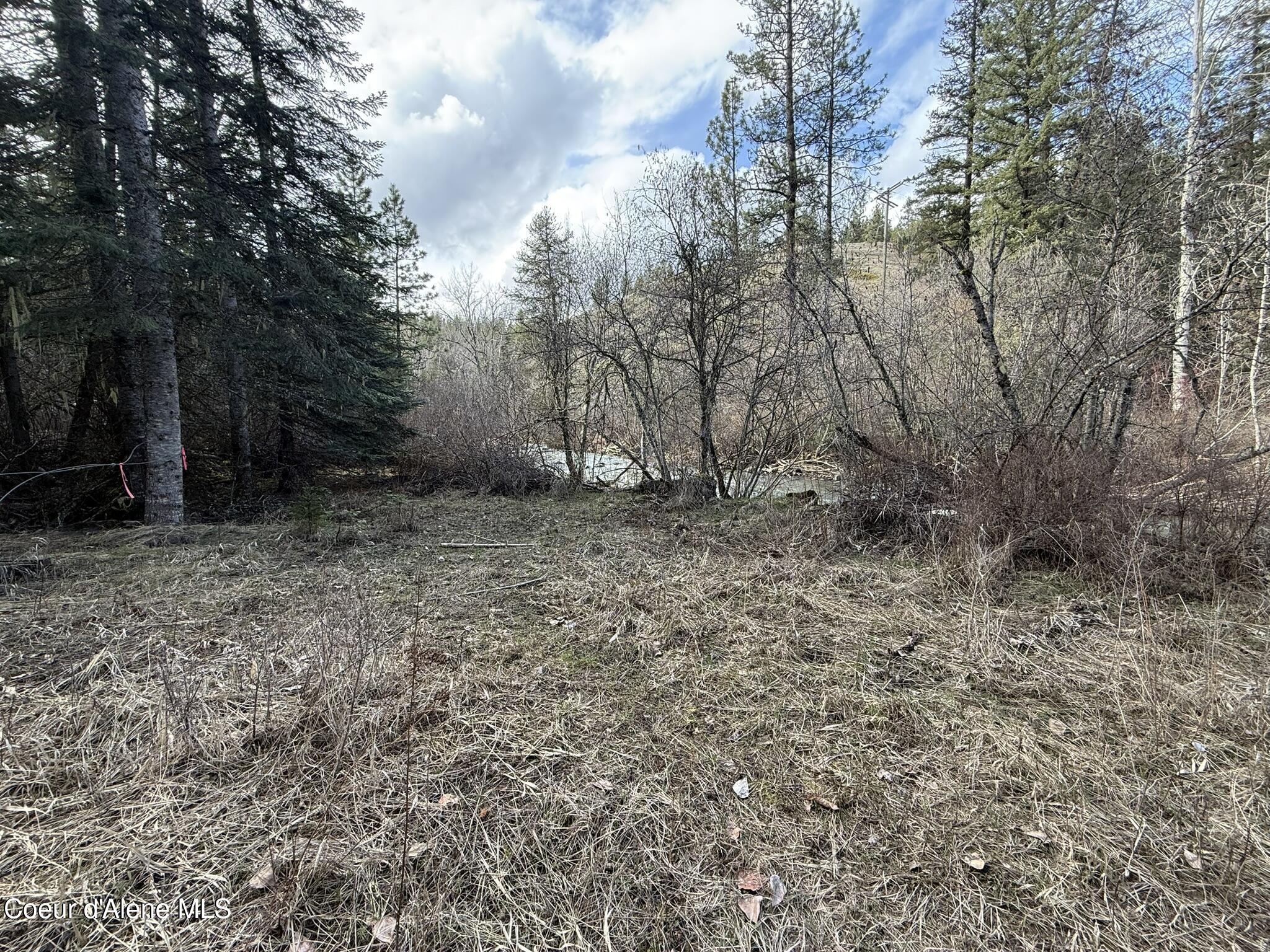 176 Blake Creek Rd, St. Maries