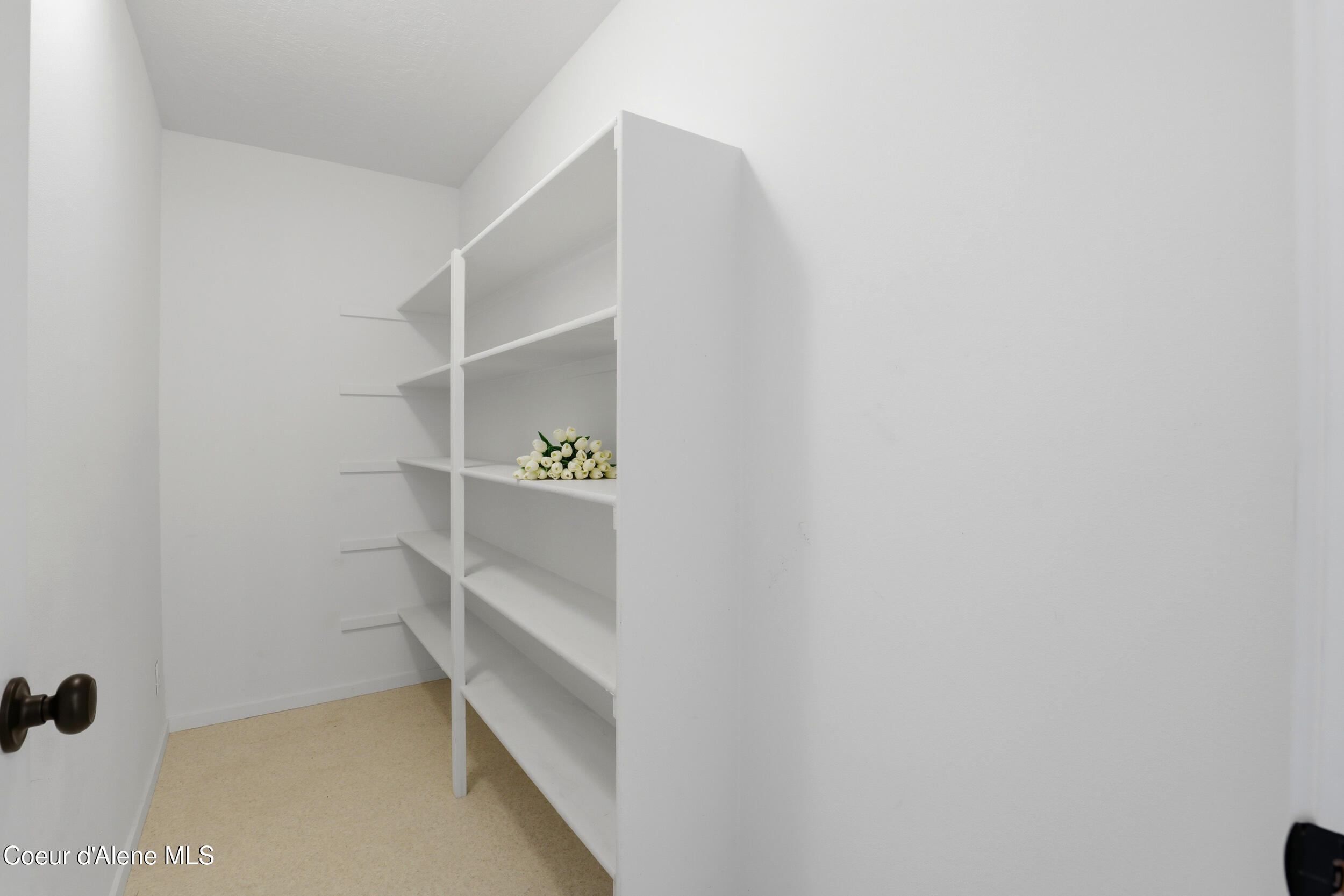 10482 N Belgrave Lp