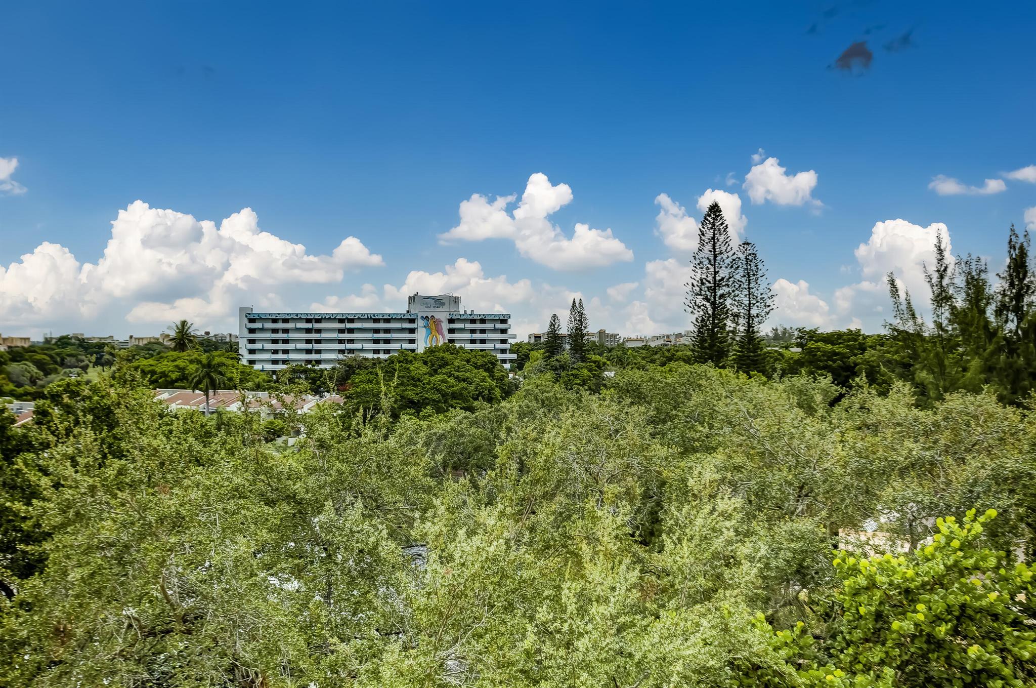 3301 Spanish Moss Terrace 607