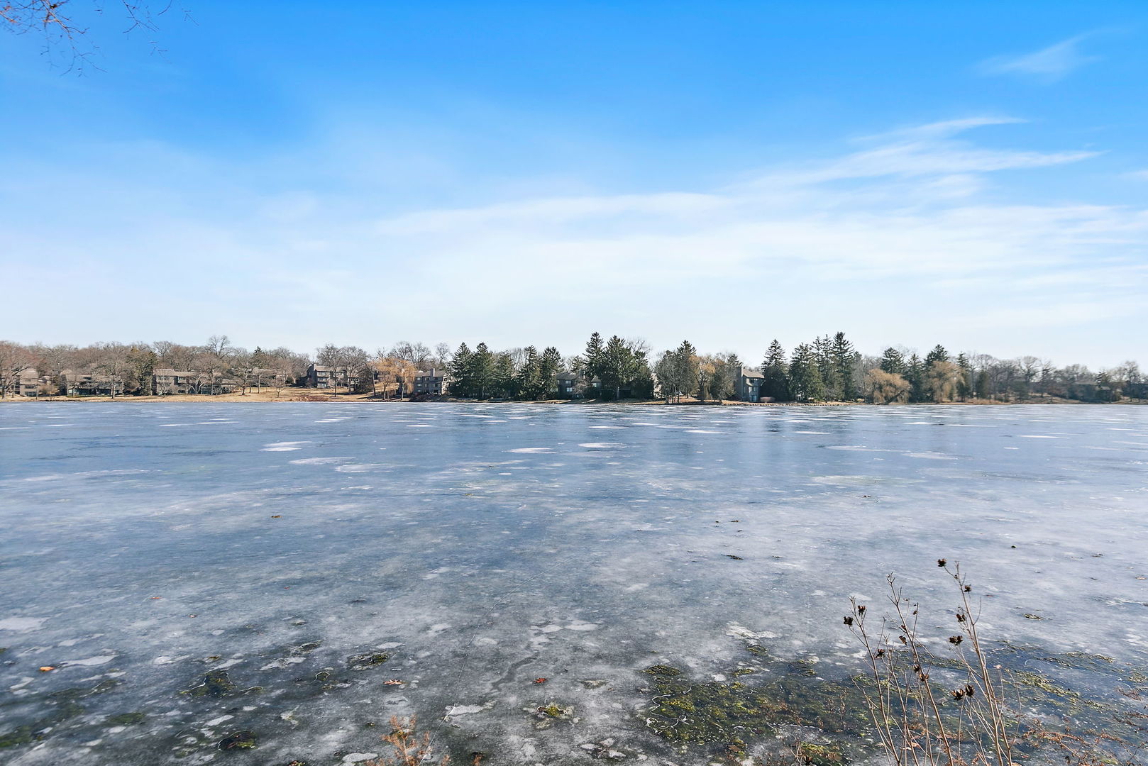 709 Woodbridge Court Unit: 709