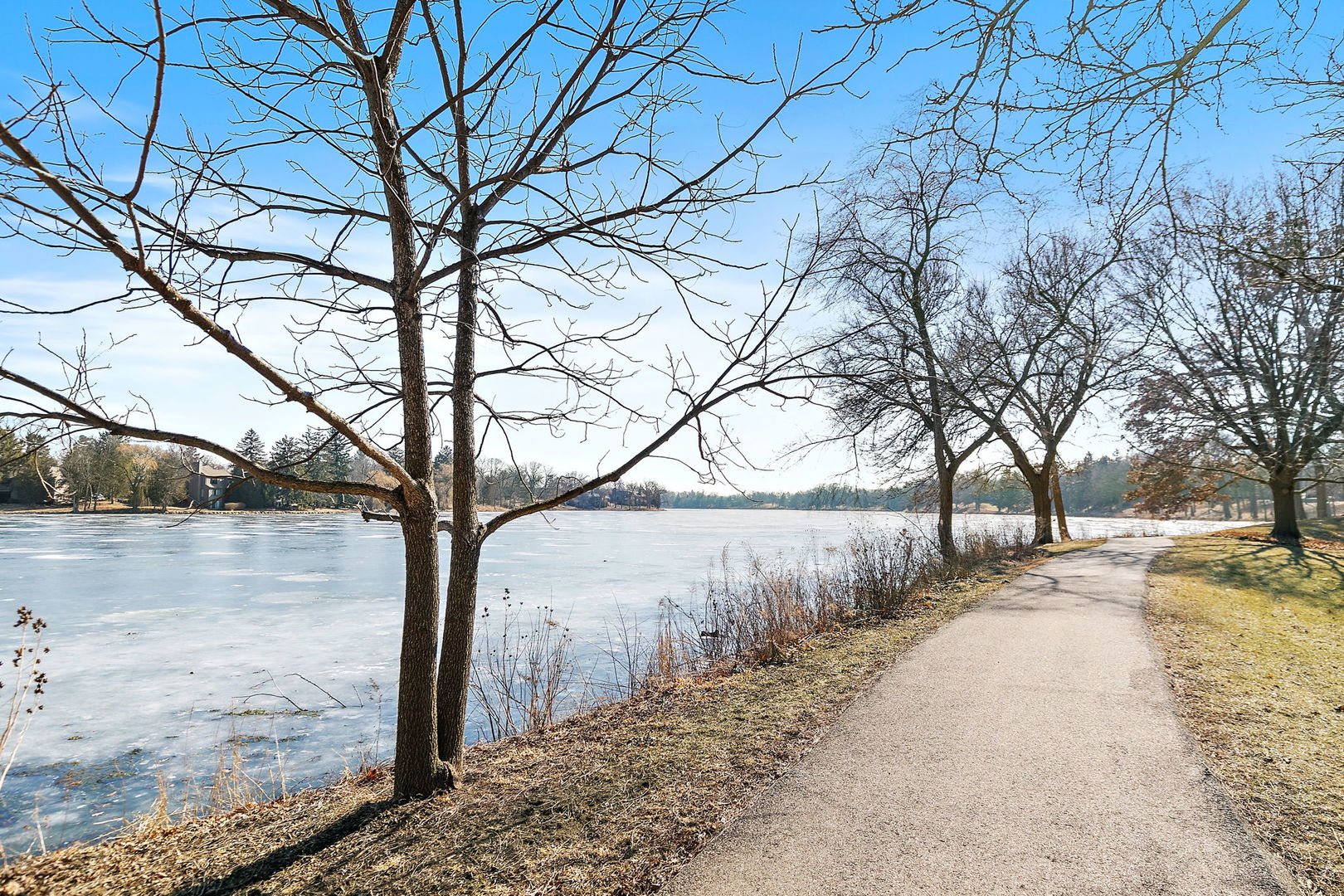 709 Woodbridge Court Unit: 709