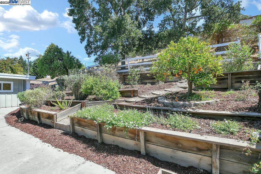 323 El Pintado Heights Dr