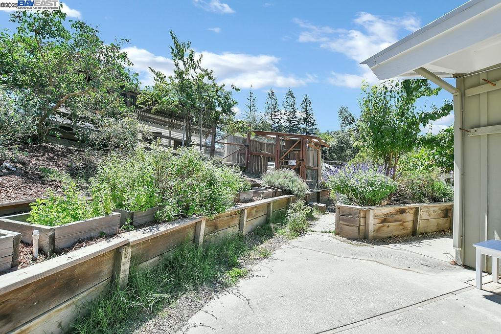 323 El Pintado Heights Dr