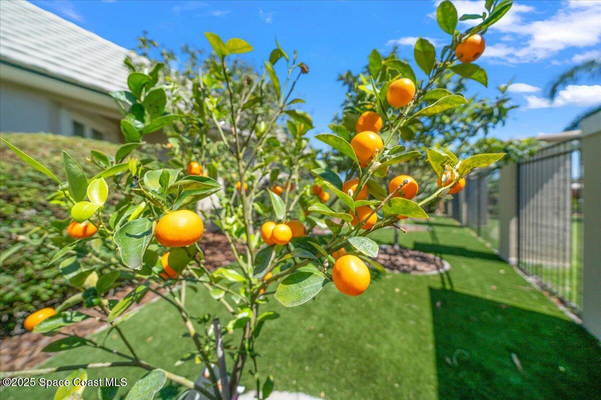 240 Lansing Island Drive