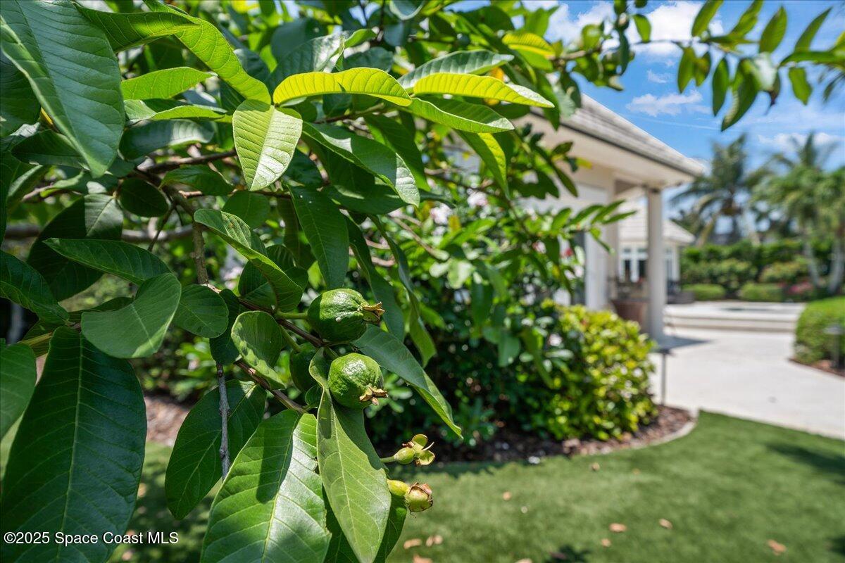 240 Lansing Island Drive