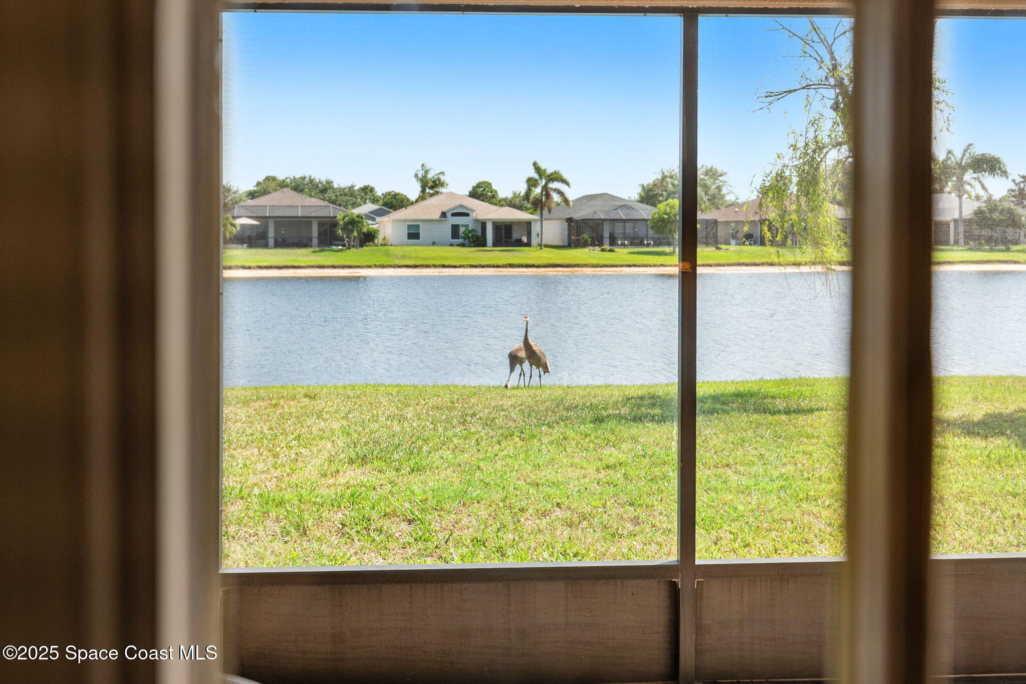 1223 Brumpton Place