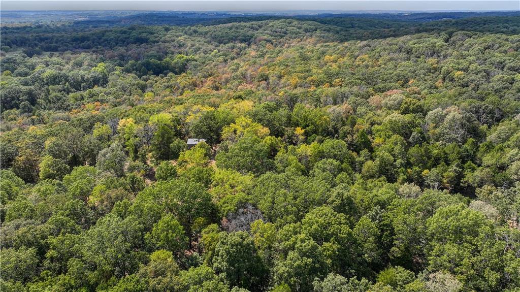 Aerial view of rolling wooded acreage with autumn foliage and a small roof visible among the trees.