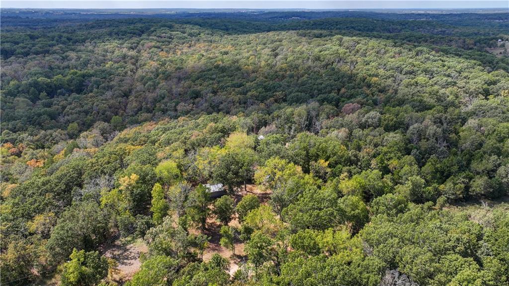 Aerial view of wooded acreage with a small clearing and structure among the trees.