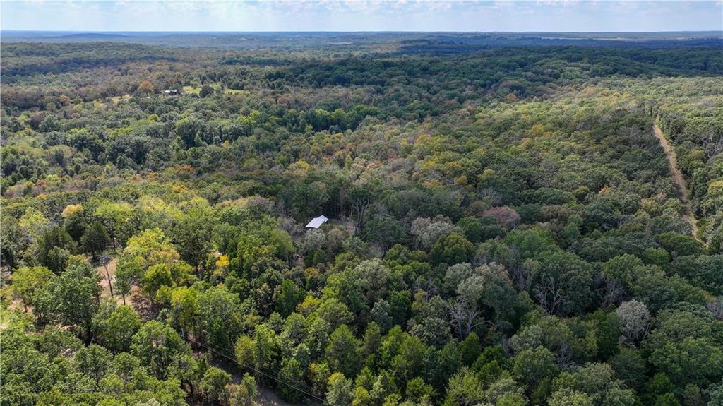 Aerial view of wooded acreage with a small roof and winding access track.