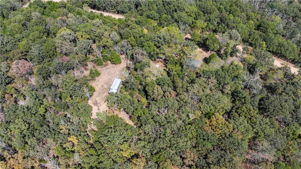 Wooded rural property with a clearing, a long outbuilding, and a dirt road.
