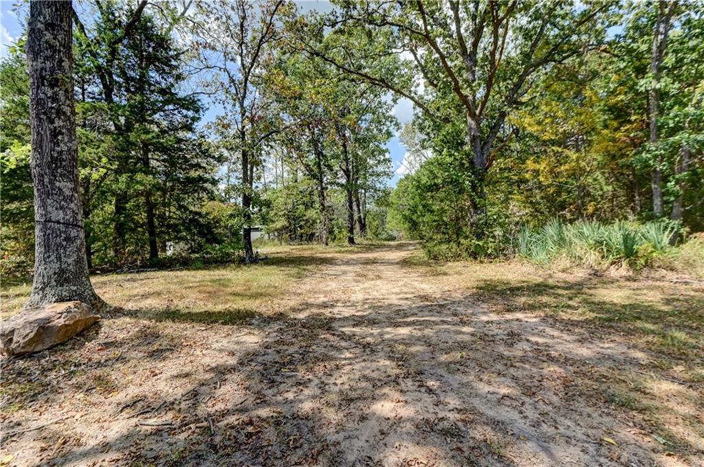 Wooded property with a dirt driveway winding between mature trees and low plants.