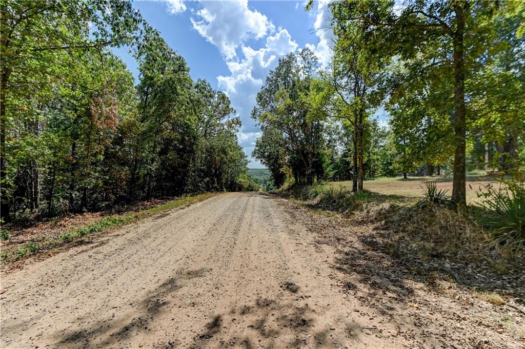 Gravel road running through a wooded rural property beside a grassy clearing.