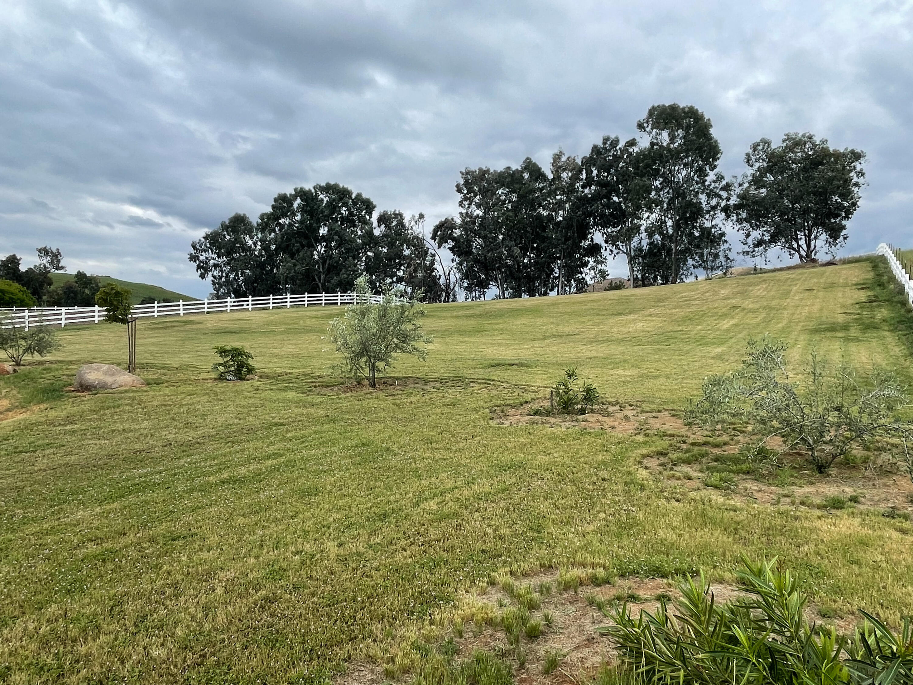 30885 Angus Loop Drive
