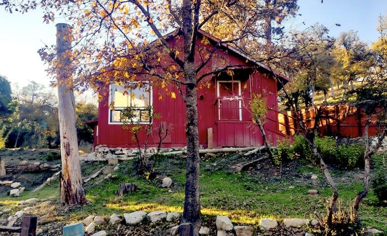 379 Cedar Brook Trail