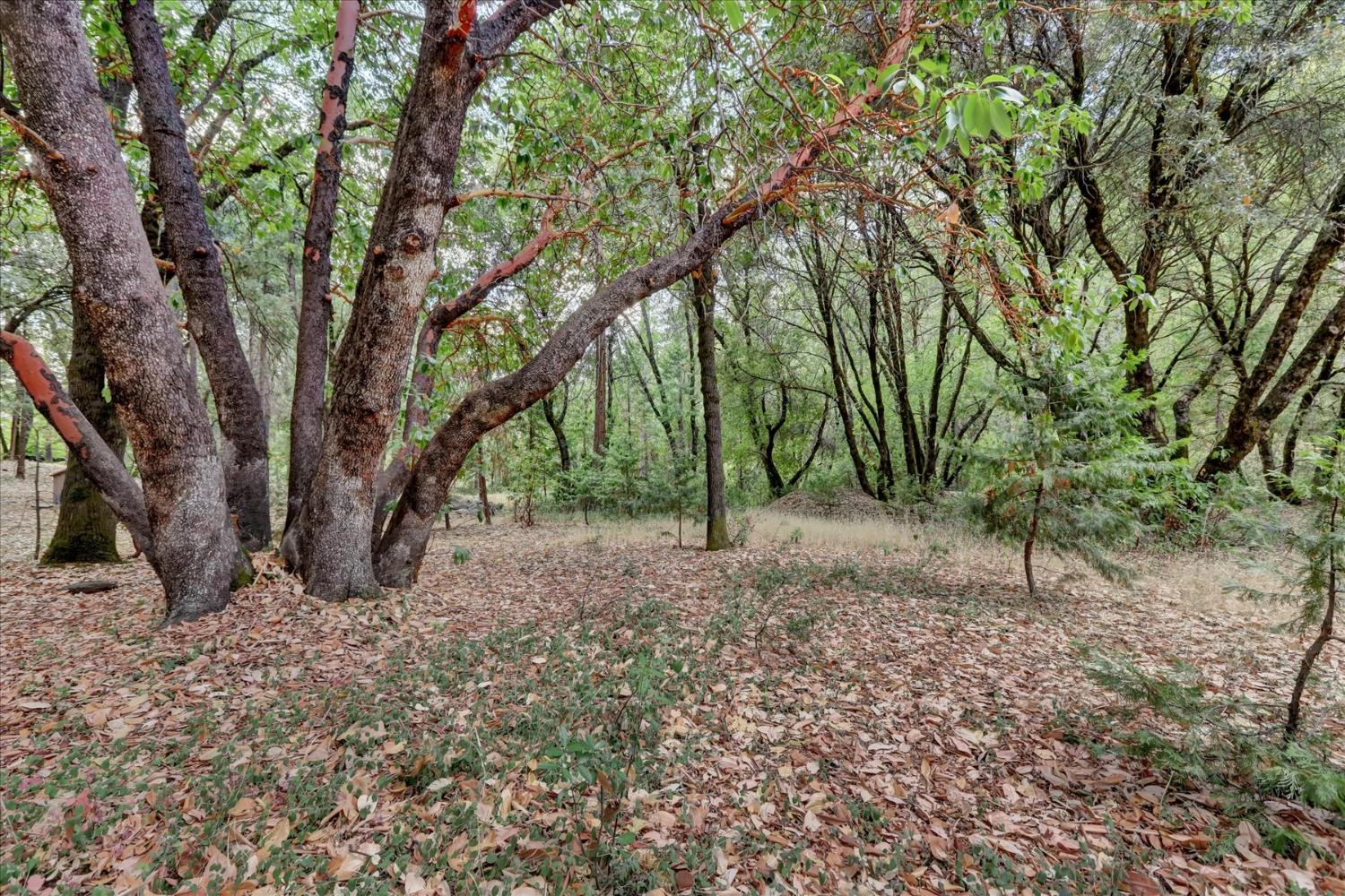 14055 Mount Auburn Circle