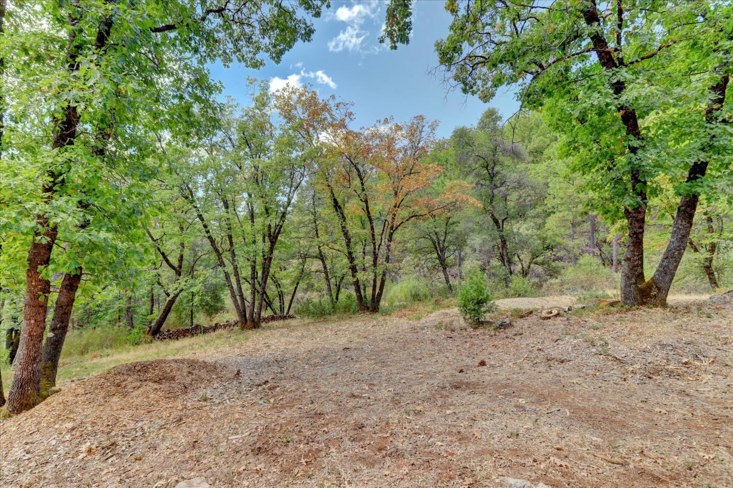 14055 Mount Auburn Circle