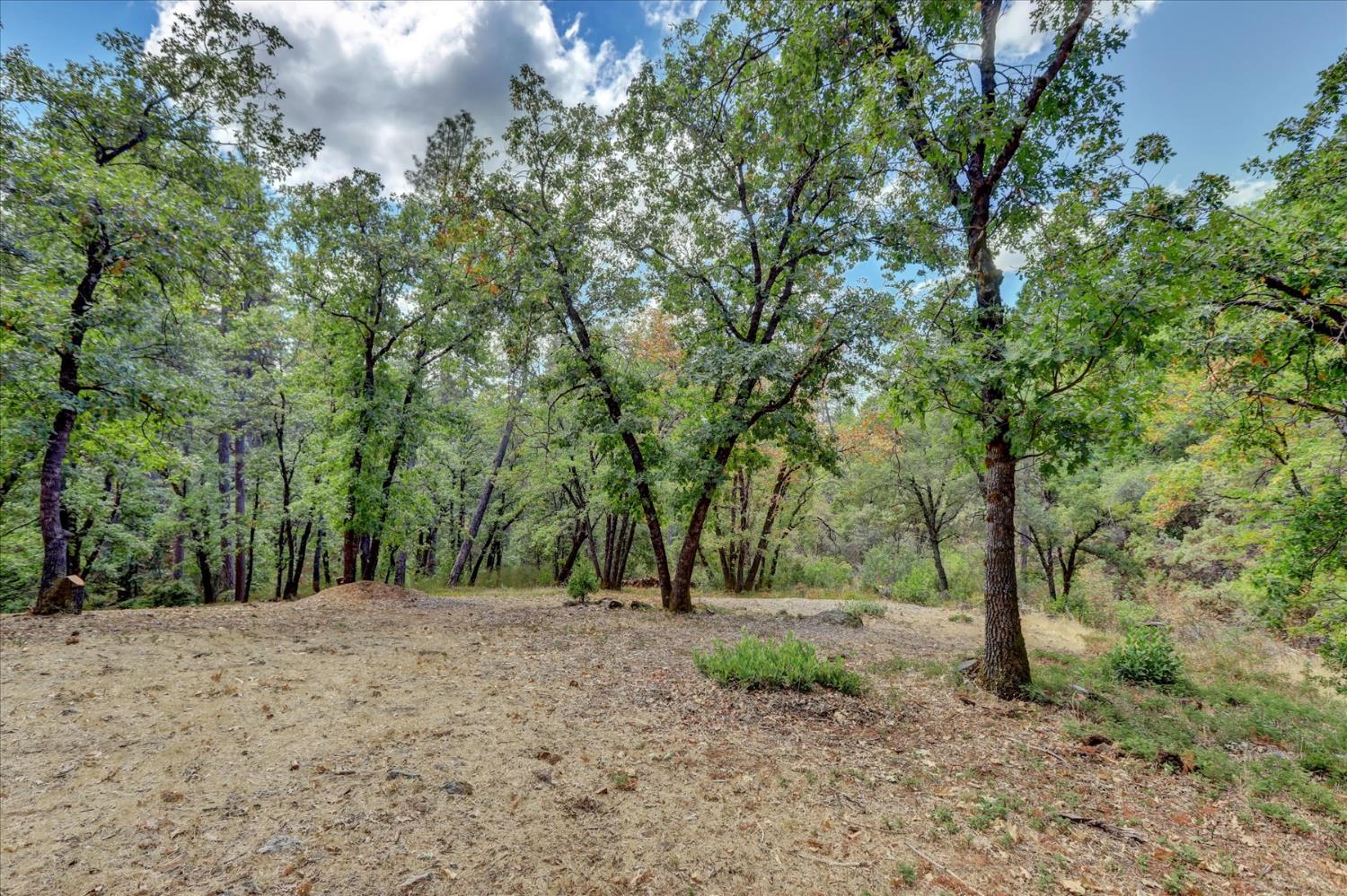 14055 Mount Auburn Circle