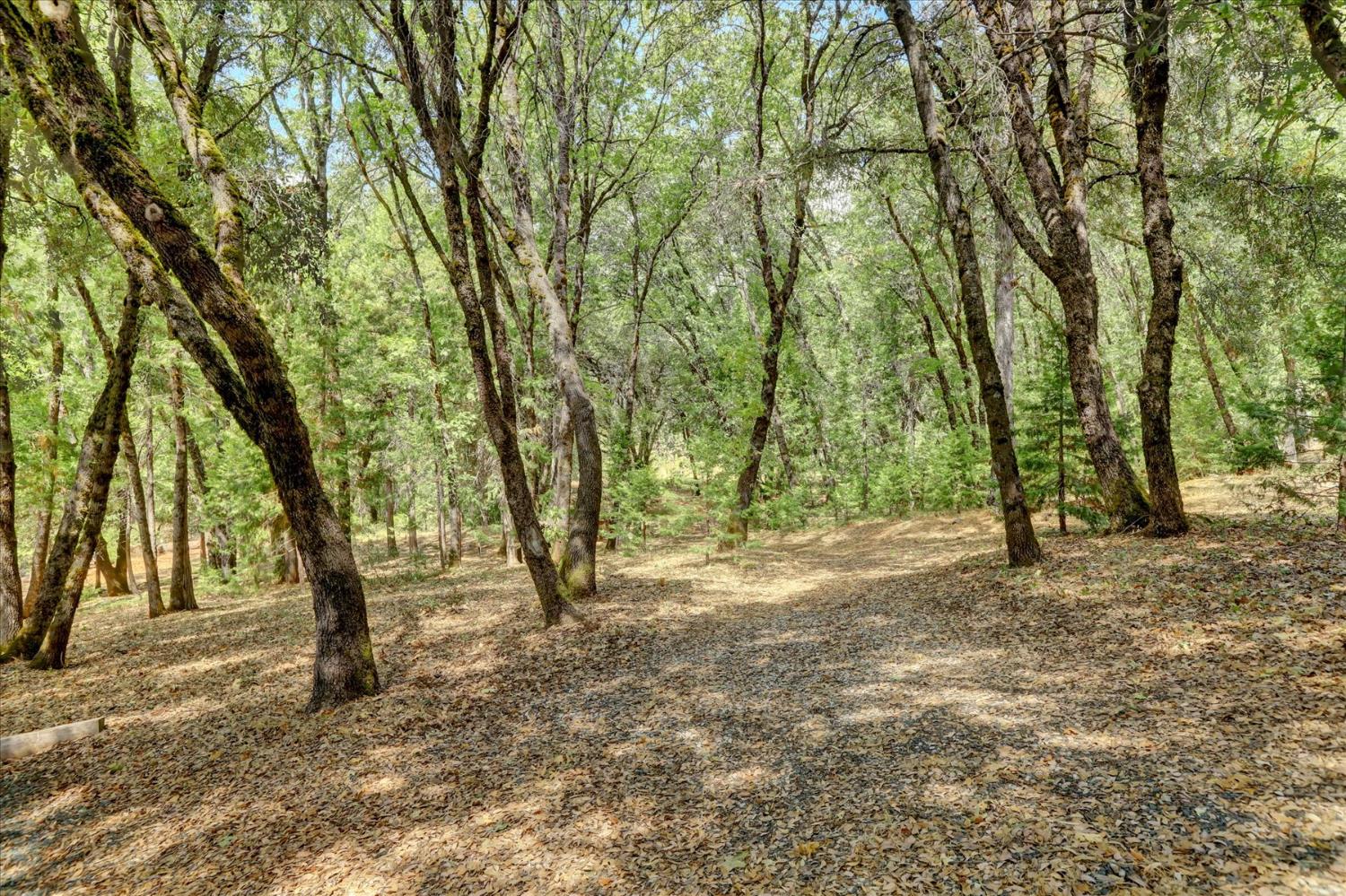 14055 Mount Auburn Circle