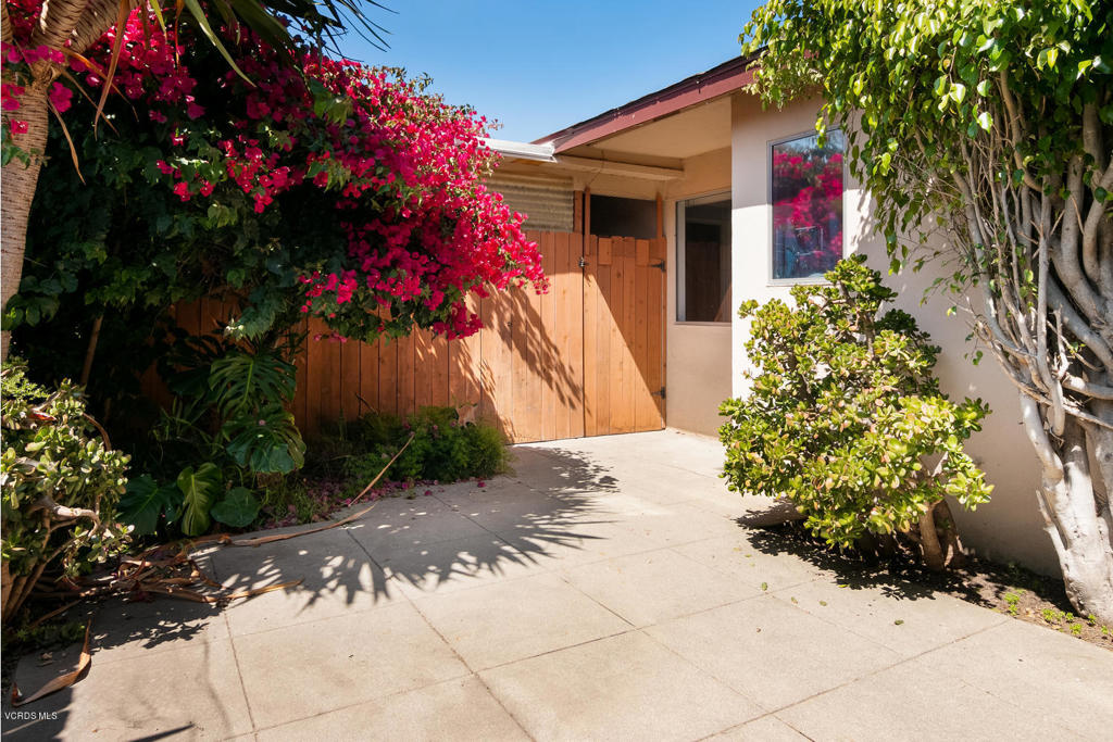 249 E Elfin Green