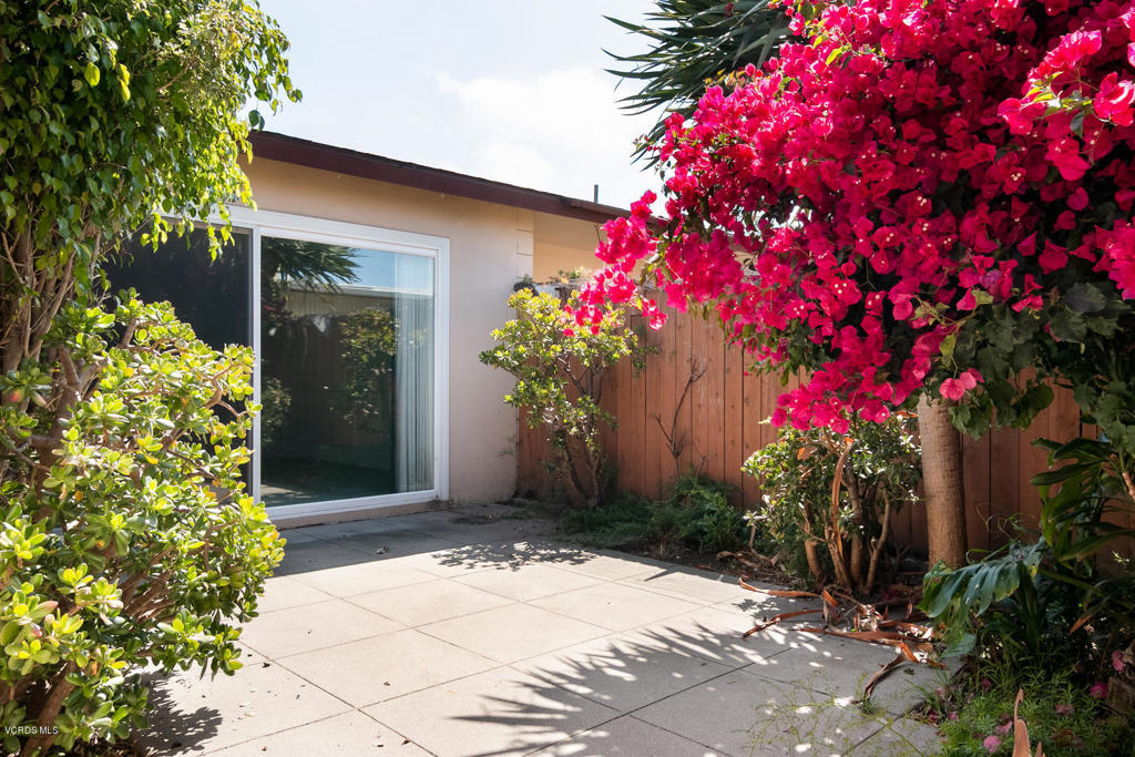 249 E Elfin Green