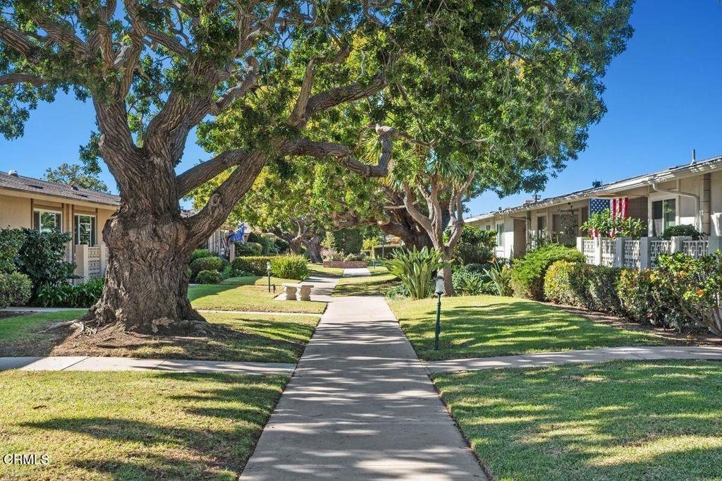 269 E Elfin Green