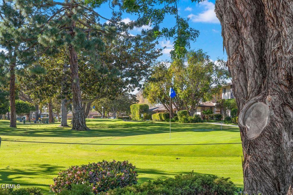 269 E Elfin Green
