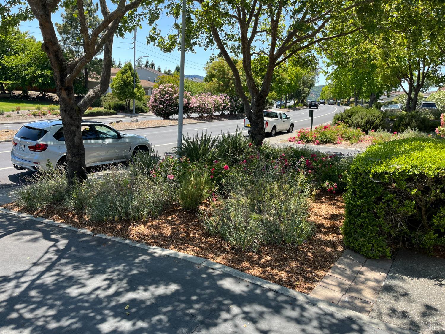 443 San Marin Dr