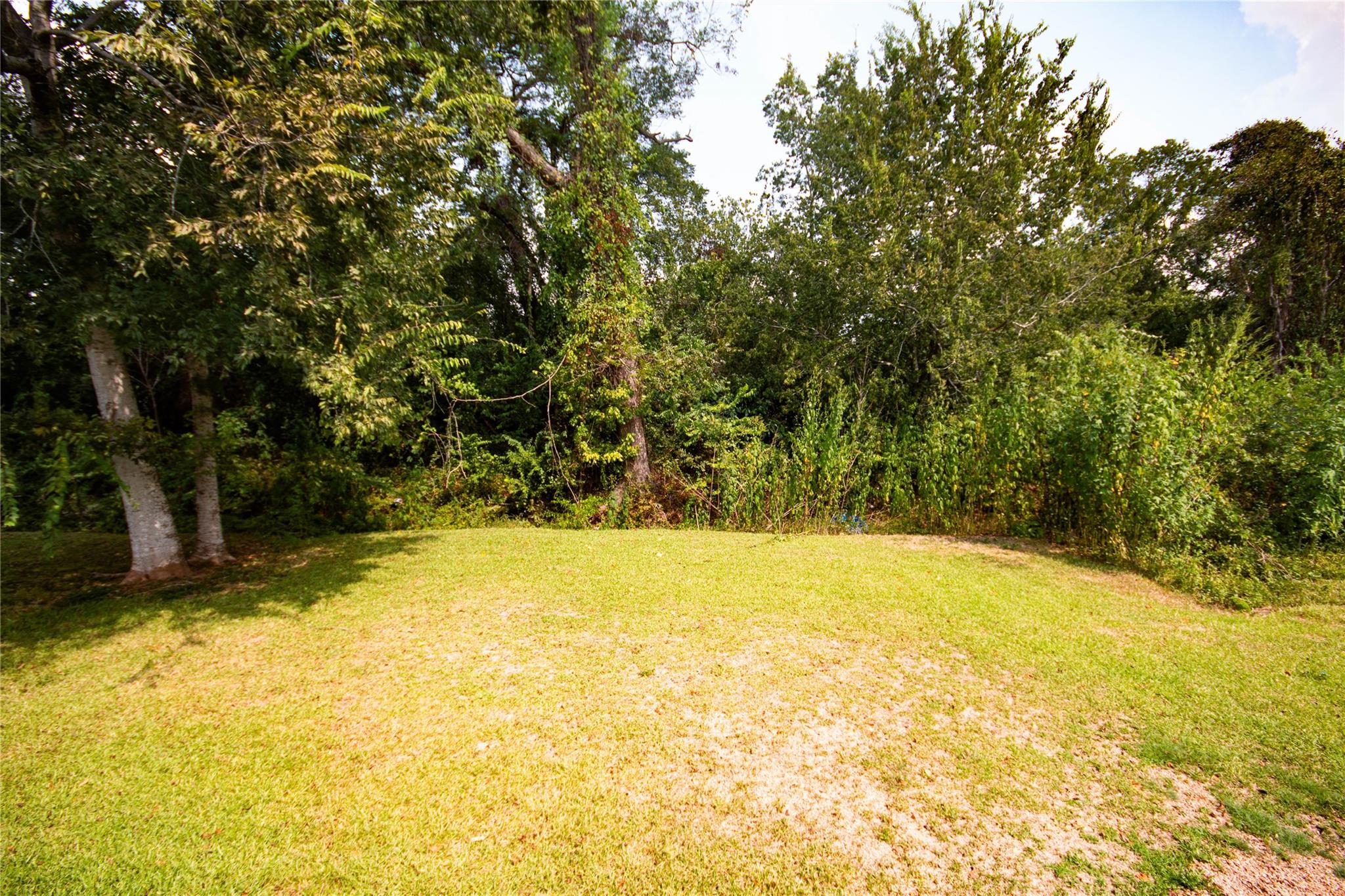 Grassy backyard with an open lawn bordered by mature trees and dense shrubs.