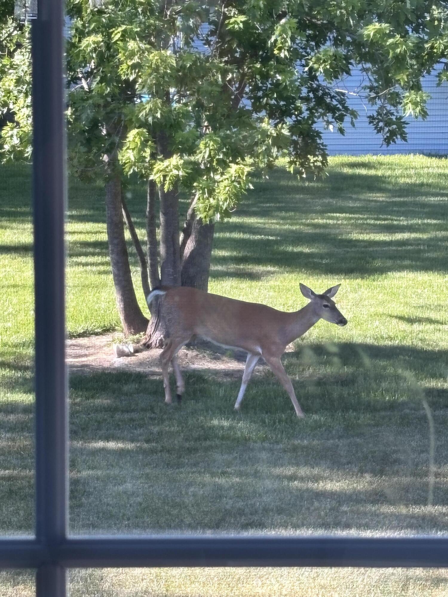 1014 W Scouts Bluff