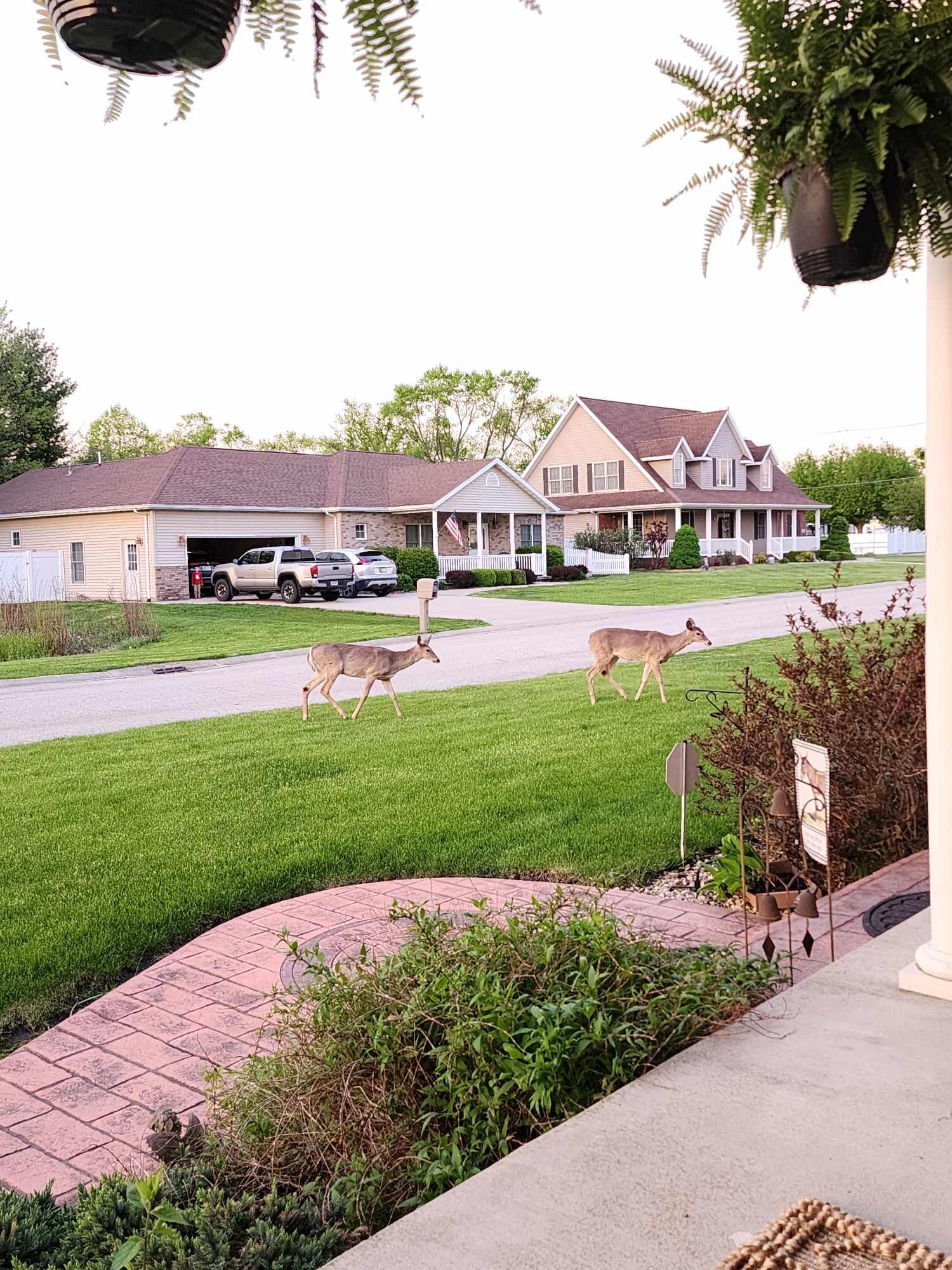 1009 W Scouts Bluff Road