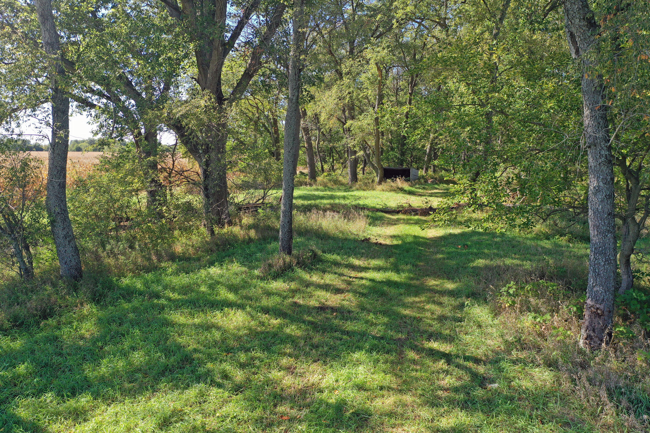7406 County Rd 60 E