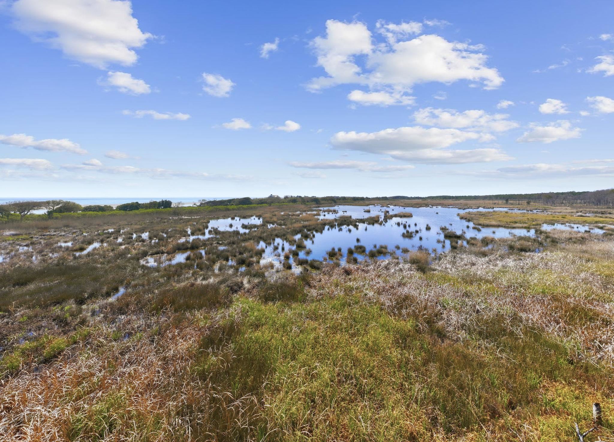 2862 Vanderbilt Blvd.