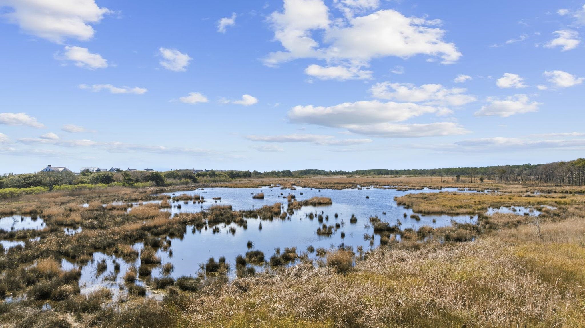 2862 Vanderbilt Blvd.