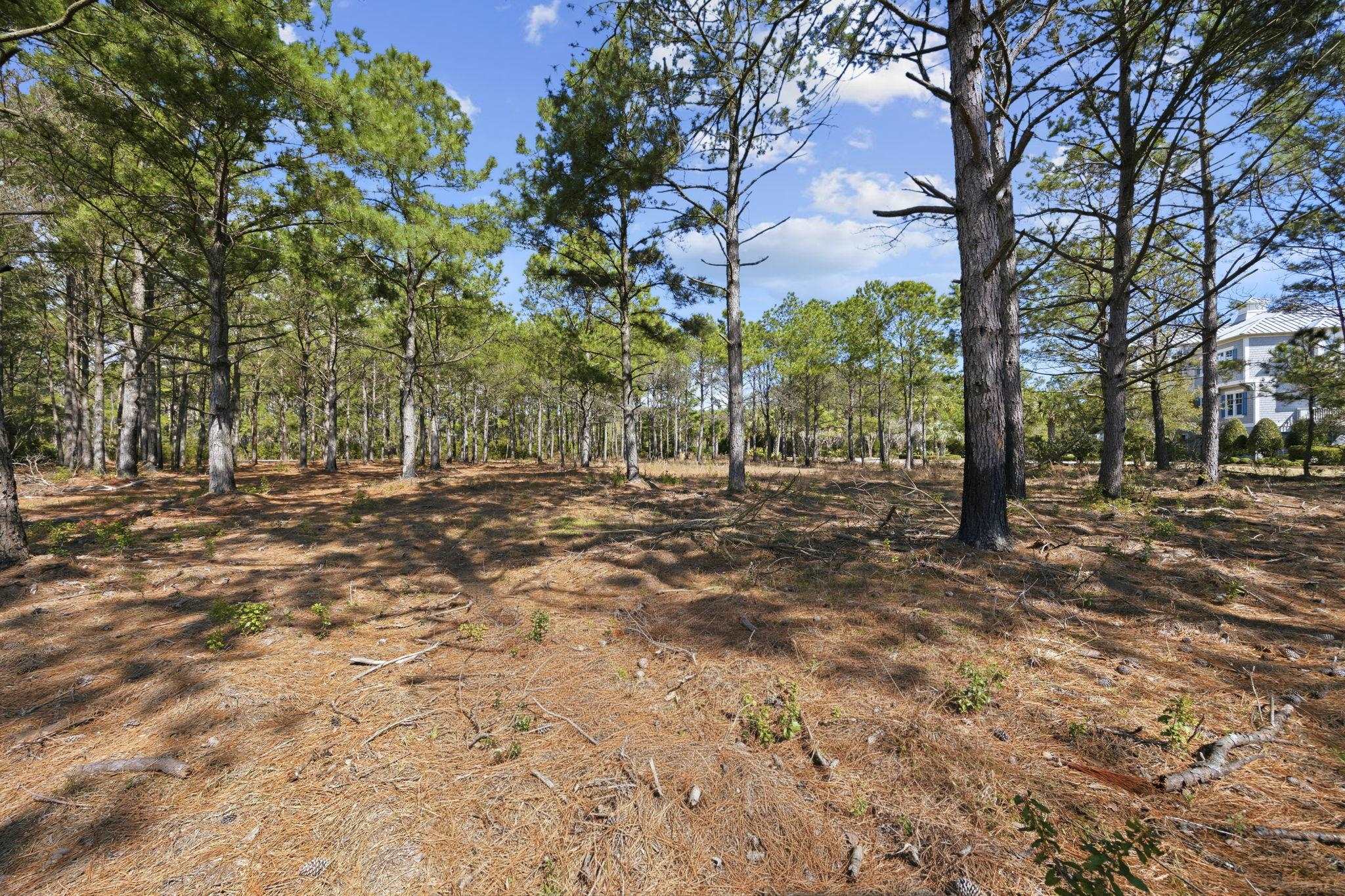 2862 Vanderbilt Blvd.