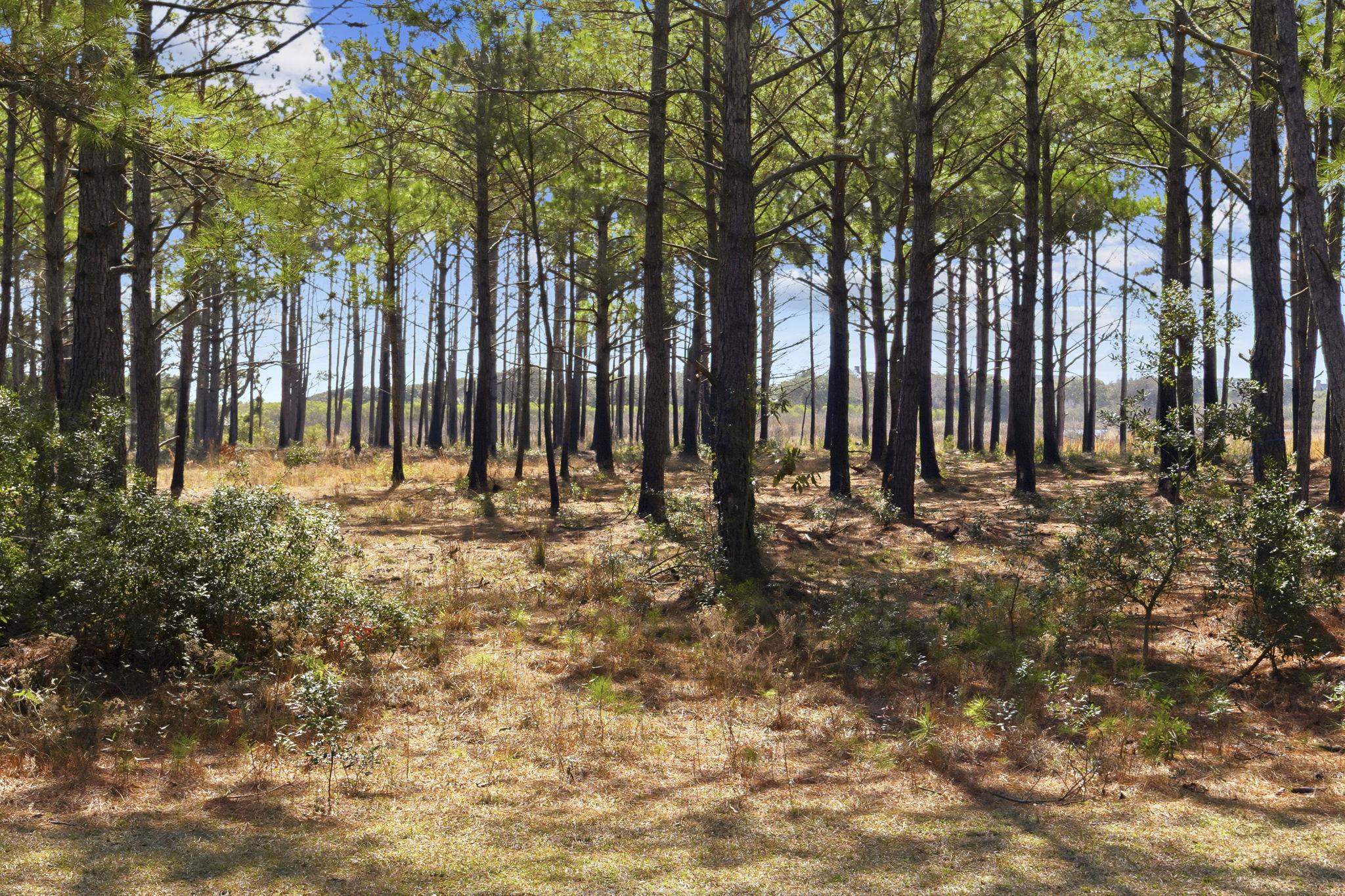 2862 Vanderbilt Blvd.