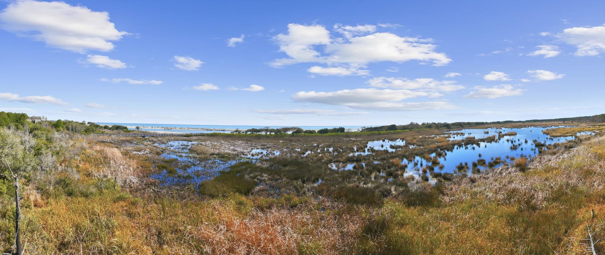 2862 Vanderbilt Blvd.