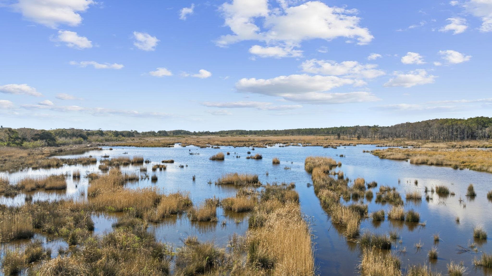 2862 Vanderbilt Blvd.