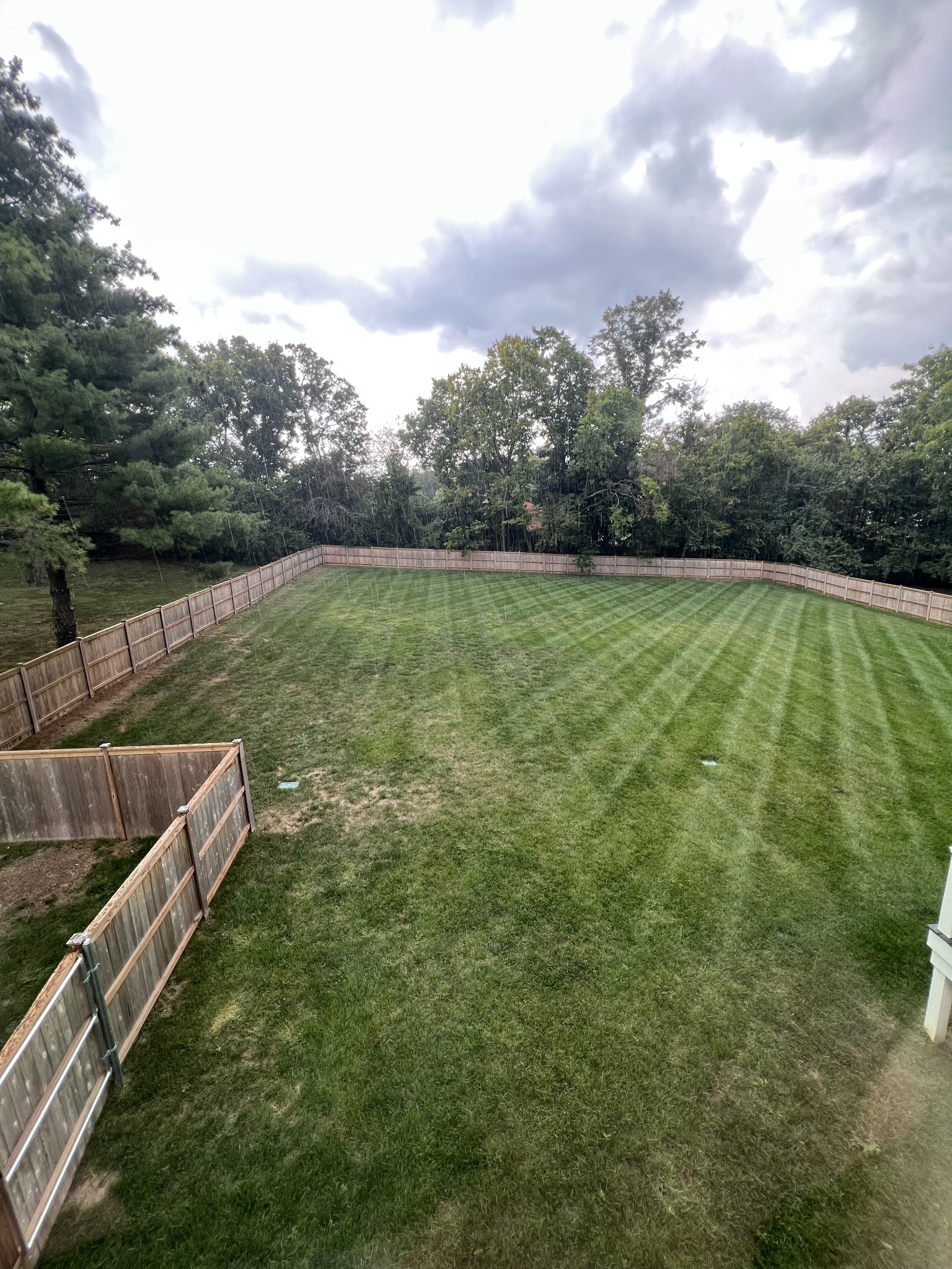 810 Steeplechase Dr