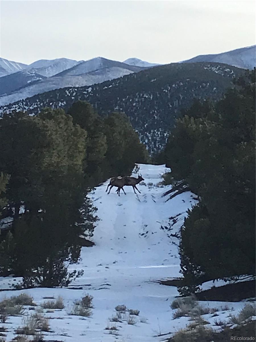 350 Trail Ridge Road