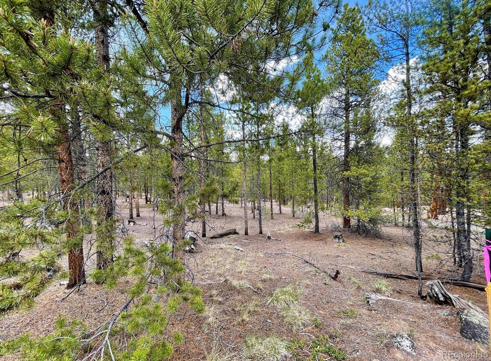 267 Juniper Drive